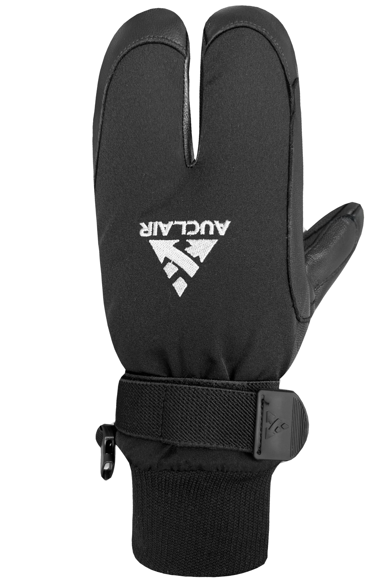 WWPB Gigatex 2-Finger Mitts - Men, Black/Black