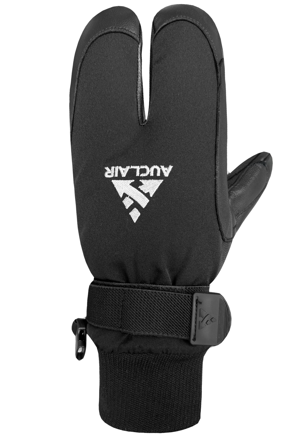 WWPB Gigatex 2-Finger Mitts - Men, Black/Black