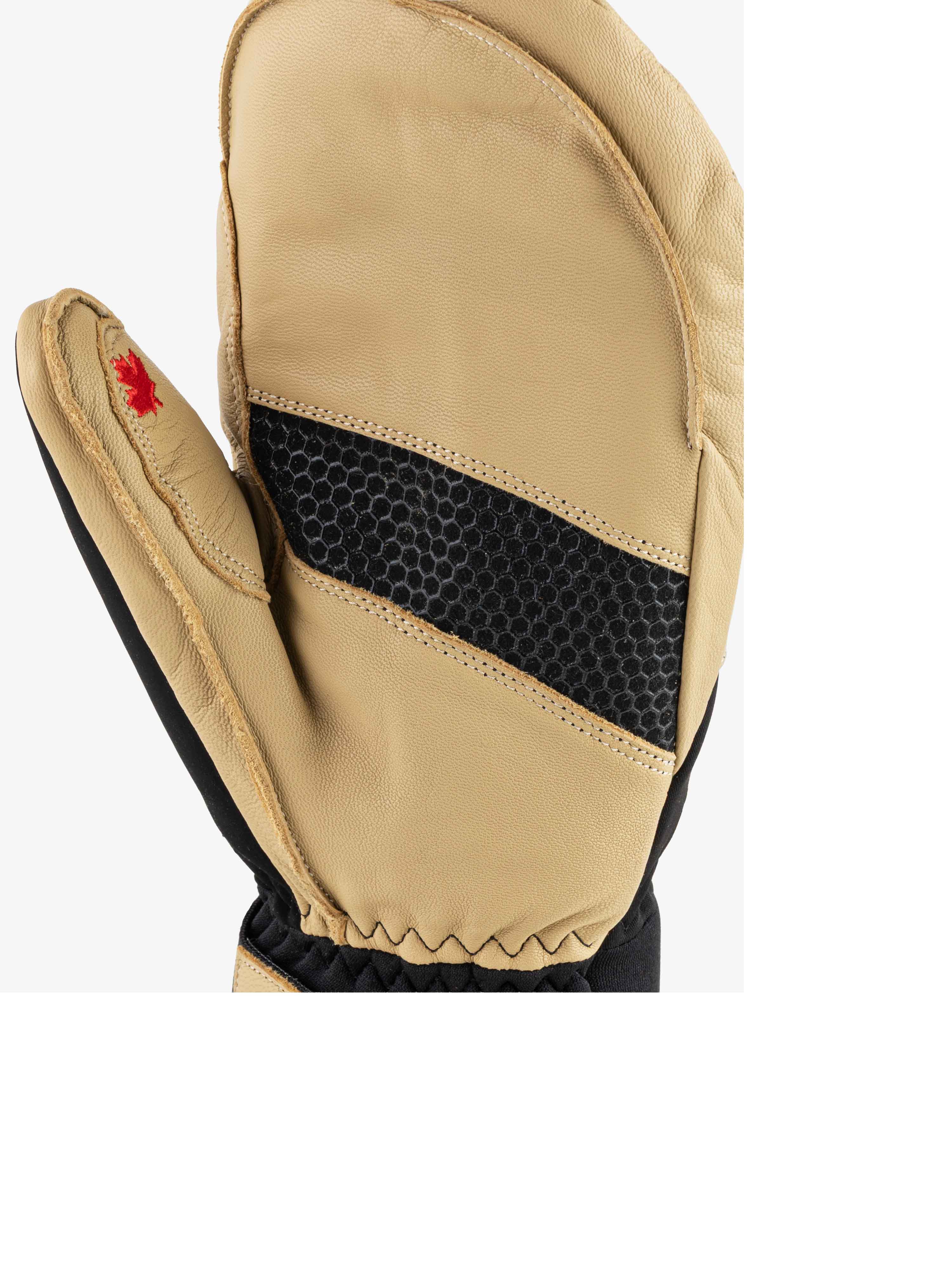 Slide image