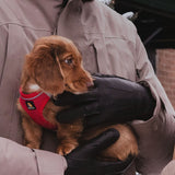Parker Gloves - Men